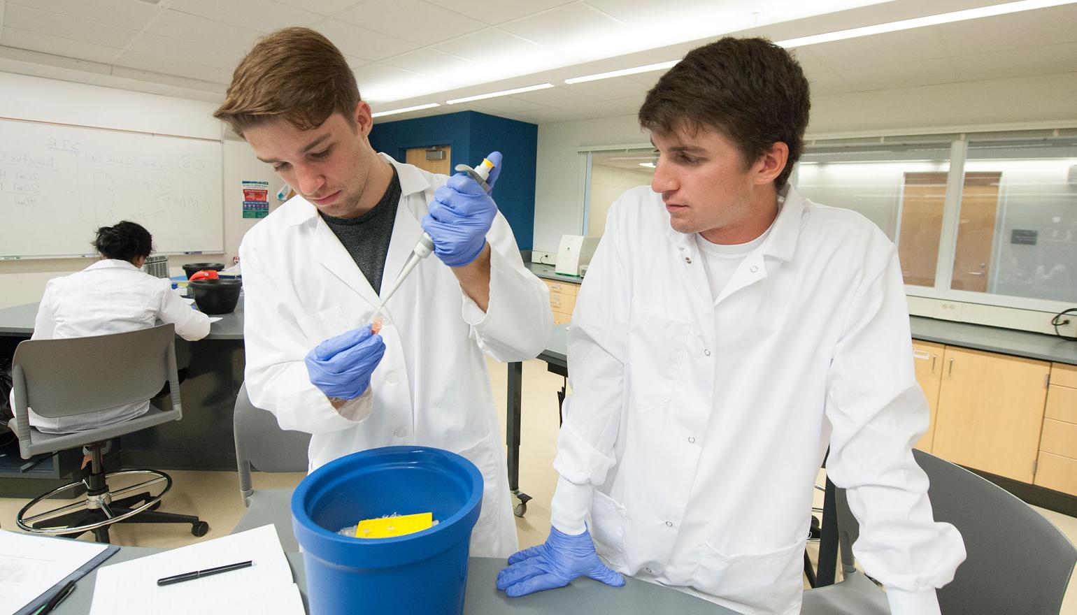 Genetics Lab at Loyola